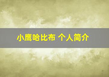 小鹰哈比布 个人简介